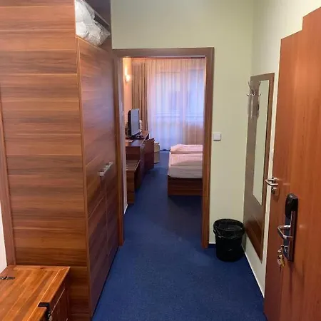 Hotel Forest Wellness & Lipno - Frymburk